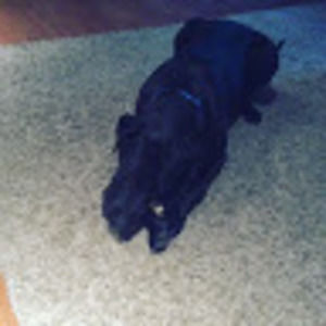 Meet your Posher, Alicia